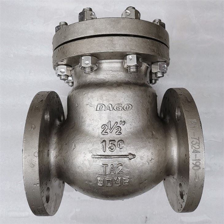 Titanium Alloy TA2 Check Valve
